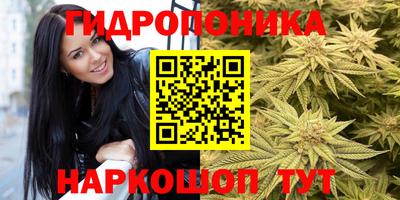 apvp Татарск