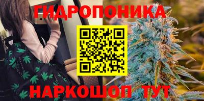 apvp Татарск