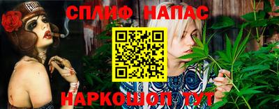 гашик Тверь