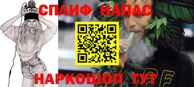 гашик Тверь