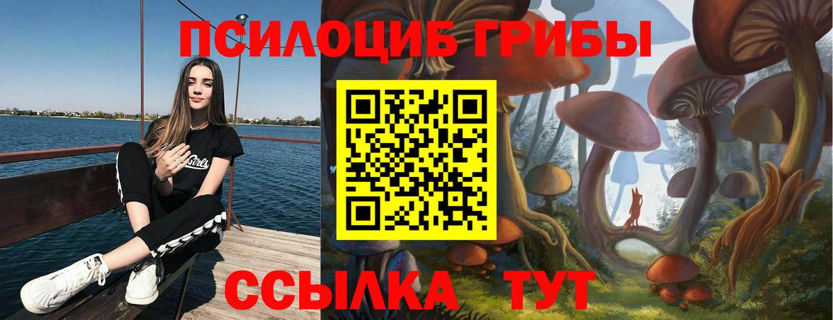 Галлюциногенные грибы прущие грибы  Вход с VPN  Нижний Тагил 